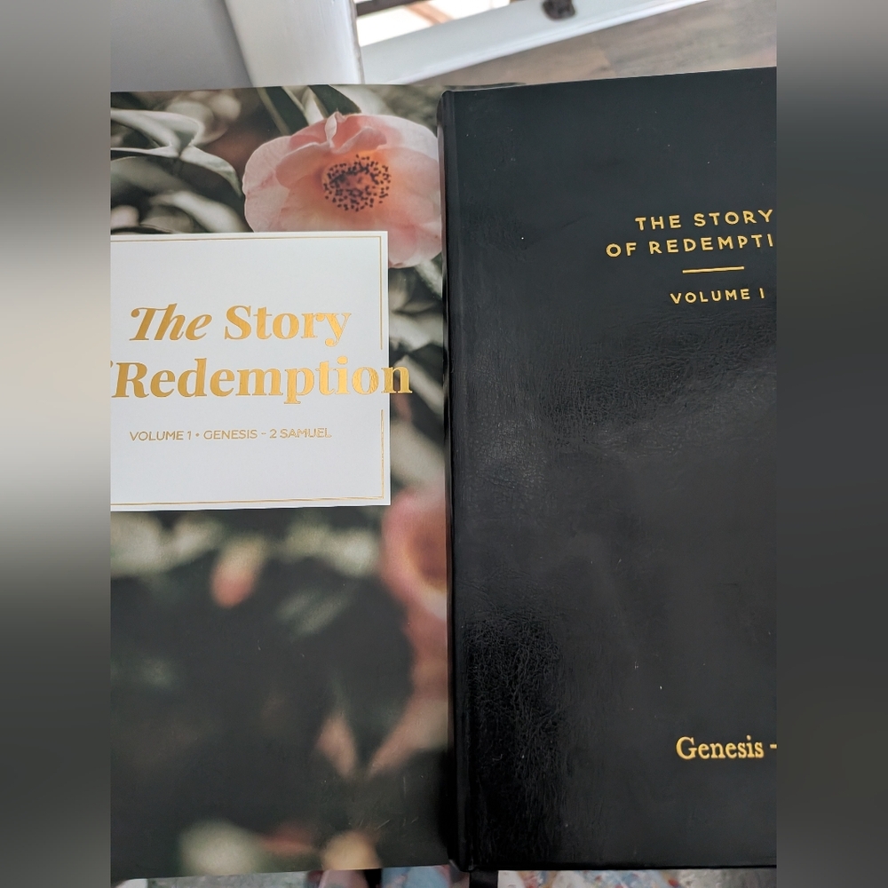 Daily Grace Co Story Of Redemption Vol 1 Study And Journal Gen-II Samuel